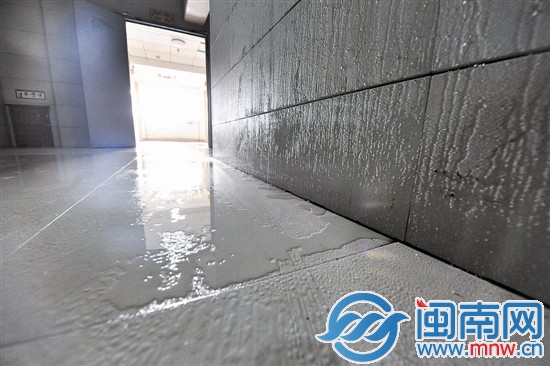 墙壁和地面都“流汗”了