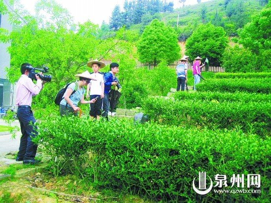 游览茶庄园