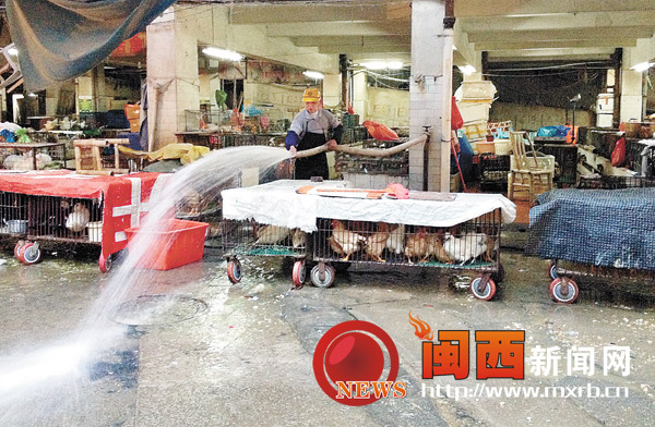 受禽流感影响 春节前后岩城活禽市场消费疲软