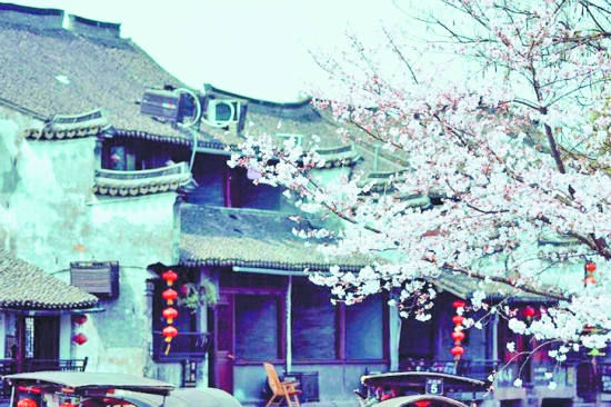西塘景区民宿也大多由古厝改造而成