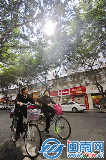 春光明媚，阳光穿树洒地（昨日上午摄于漳州市区瑞京 