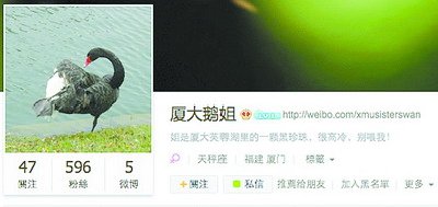 厦大鹅姐