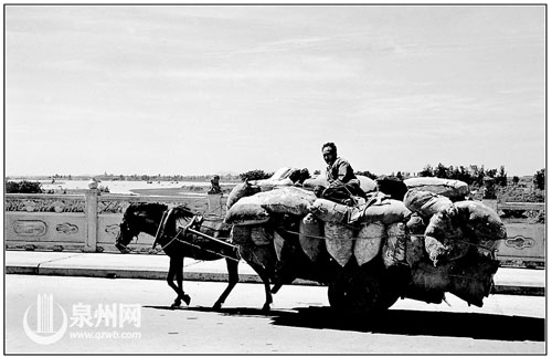 1990年，一匹马拉着满载粮食的车子悠闲地走过泉州大桥
