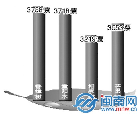 截至2月27日傍晚6点半 漳州“市树”网络评选的投票 