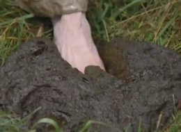 美男子为治足疾竟赤脚伸进奶牛粪便