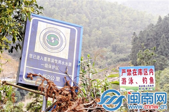 水库上方 山涧现20头死猪