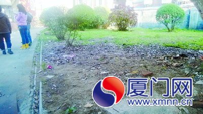 到鼓浪屿“社区园圃”认养种植2