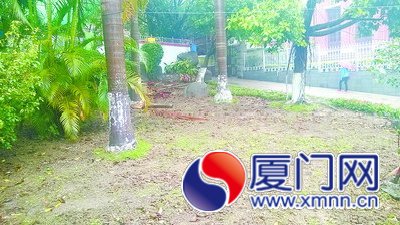 到鼓浪屿“社区园圃”认养种植1
