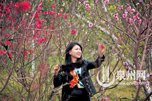 桃花朵朵开 春日情怀在