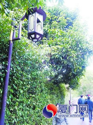 路灯遭到破坏。