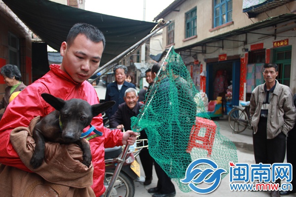 好邻居“小黑”要搬家了，引来厝边围观