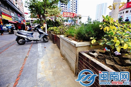 3个花坛已经修复好