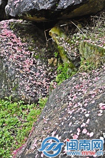 落红不是无情物，化作春泥更护花