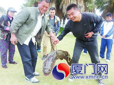 看到这条大鱼，大家都上前感受一下它的重量。