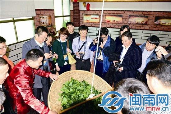 记者观看安溪铁观音传统制作工艺
