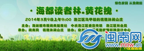 黄花槐