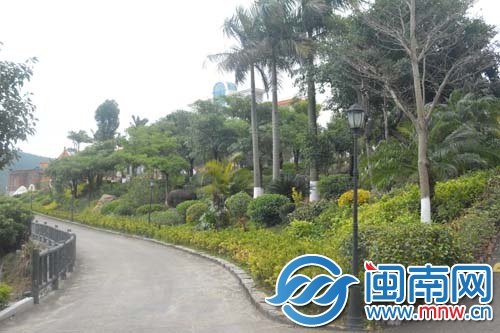 步行街内种满各式各样的植物树木