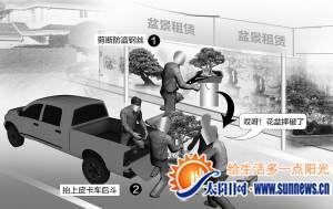 偷盆景示意图