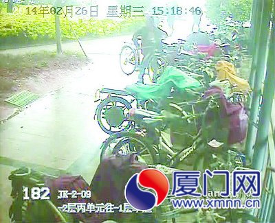 视频截图