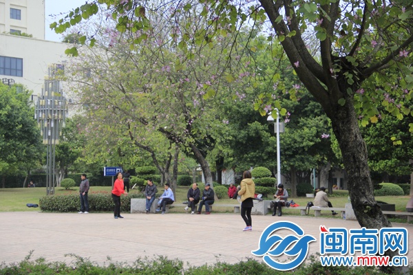 花儿都苏醒了，大家也别宅了，一起打羽毛球吧