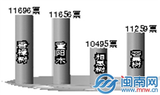 截至昨晚6点，漳州“市树”网络评选的投票结果