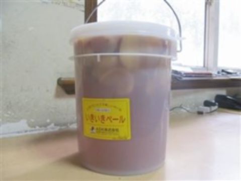 日本垃圾桶成神桶 淘宝热卖脱销竟无证书2