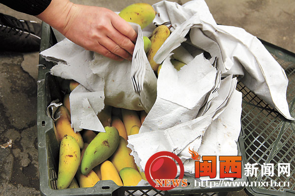 水果箱里的芒果被层层叠叠经过喷水的粗草纸包围