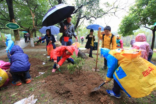 昨日春雨绵绵，小学生们在森林公园冒雨种树