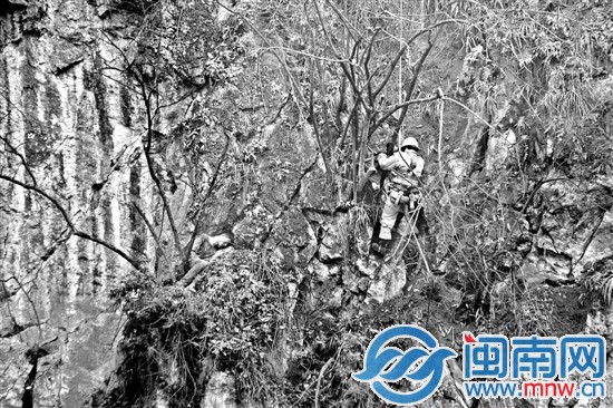 掉下百米悬崖 石缝苦熬三天