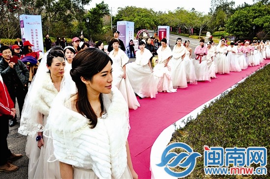 37位新娘排成长队走在红地毯上（李荣鑫摄）