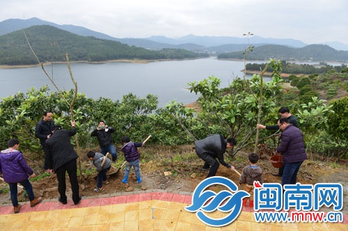 水库边风景优美，种下树再添绿意