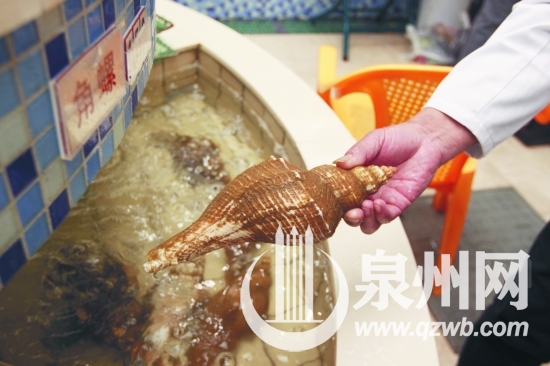 大小螺价格差很多