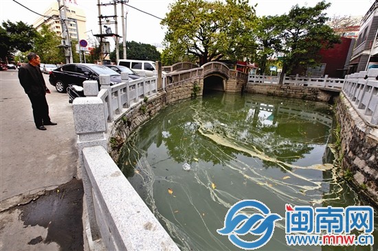 百源清池放生池油污浮在水面上