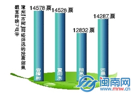 漳州市树评选总票数已超6万