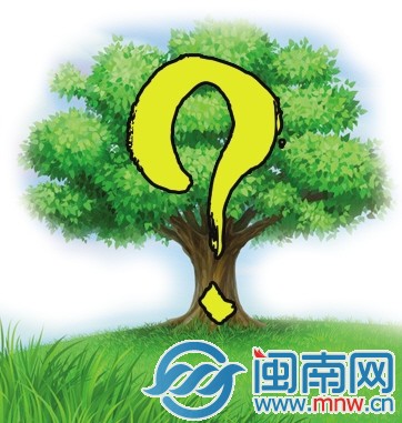 漳州市树评选投票最后一天