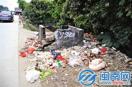 漳州北环城路垃圾收集点，死猪随地扔