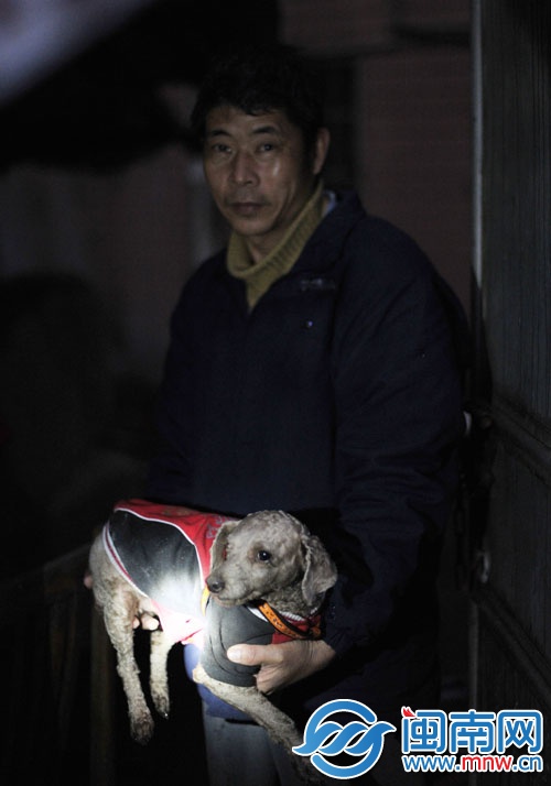 小狗暂时被好心的保安收养