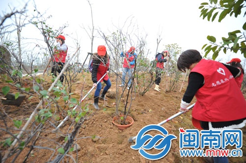 公园管理中心工作人员和志愿者一起植树
