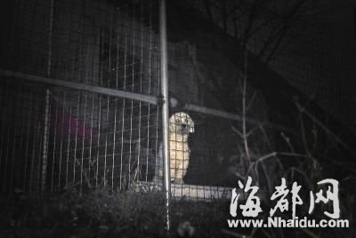 晋安郊区的小山头