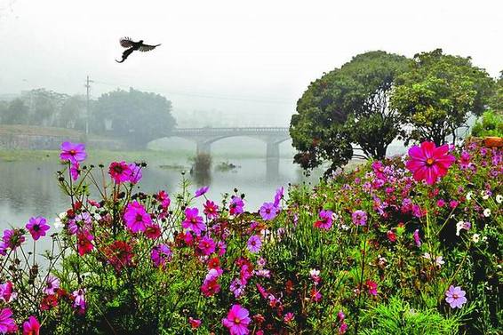 莆田市昨大雾锁城 两次发布大雾黄色预警信号1