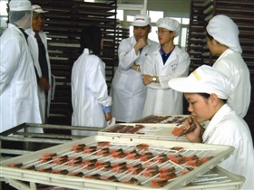 20多人的东南亚华侨团体在石狮食品企业参观
