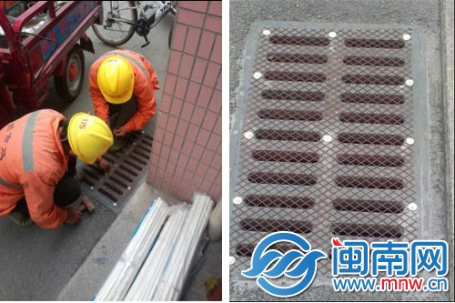 市政工作人员正在安装防鼠网