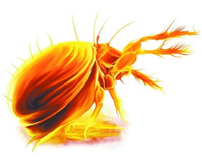 恙虫