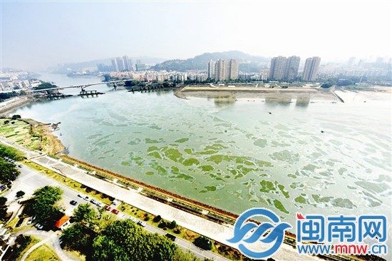 站在江边的高楼俯瞰，闽江西河段满是金闪闪的油污