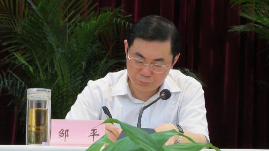 曝四川南充落马副市长与1名女县委书记关系密切