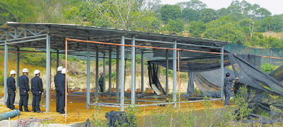思明区行政执法局对位于东坪山一处违法建筑进行拆除。