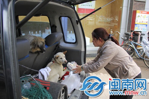 第二天，洪女士带着饭和水再次来看望它