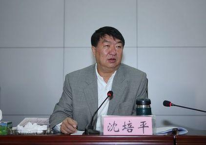 沈培平学历
