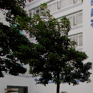 中国船级社海南分社1