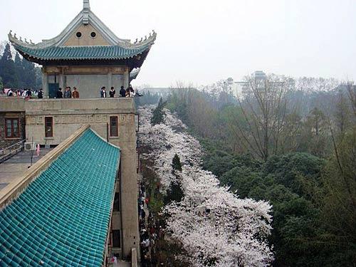 武汉大学珞珈山